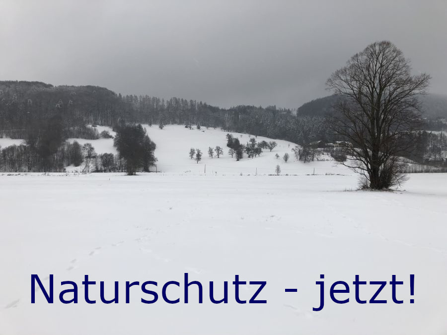 Naturschutz jetzt - Aktuelle Natur- und Artenschutzprojekte