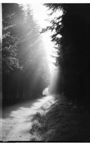 1943 OOe Freistadt-bis-Schloegen 12