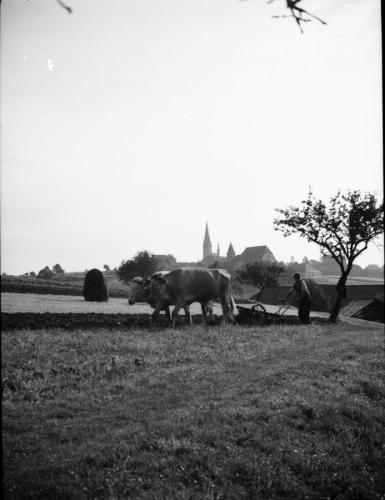 1943 OOe Freistadt-bis-Schloegen 13