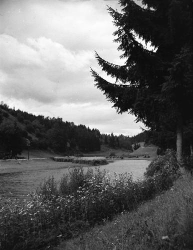 1943 OOe Freistadt-bis-Schloegen 19