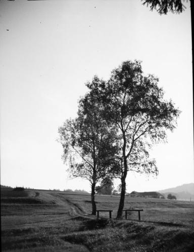 1943 OOe Freistadt-bis-Schloegen 8