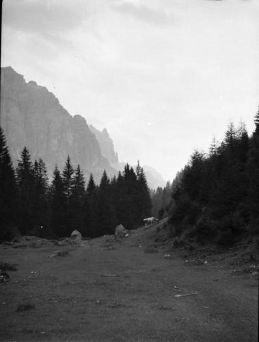 1949 Stubai 14