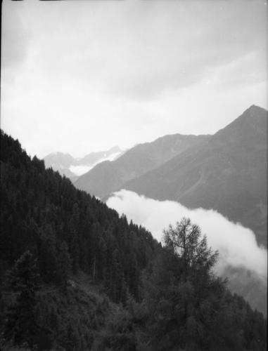 1949 Stubai 9
