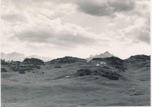 1951 Hochschwab 11 Auf-der-Sonnschienalm