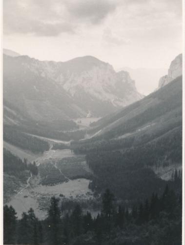 1951 Hochschwab 13 Gsohlgraben-Abstieg-von-Frauenmauerhoehle-Blick-im-Gsohl-gegen-Eisenerz