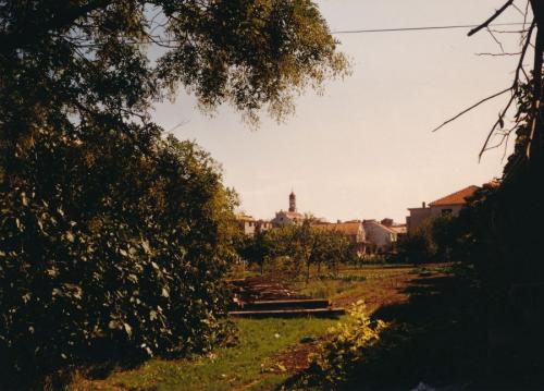 1987 Dalmatien Betina