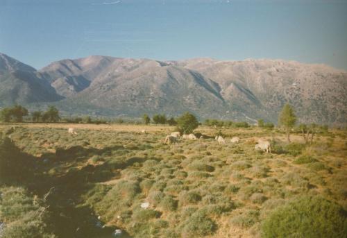 1989 Kreta Omalos-Hochebene 2