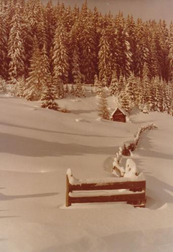 1989 Rohrmoos 2