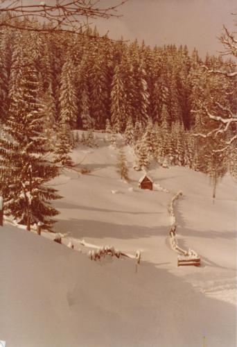 1989 Rohrmoos 3