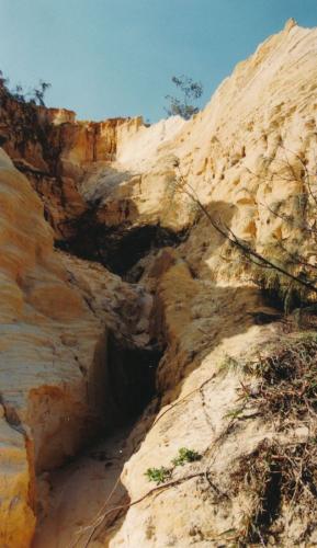 1992 Australien Fraser-Island 5