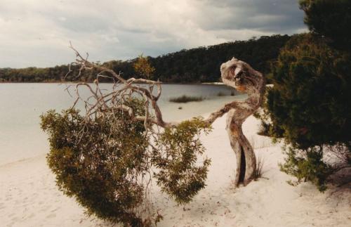 1992 Australien Lake-Birabeene 1