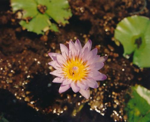 1992 Australien Lake-Wabby 1