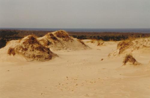 1992 Litauen Wanderduenen
