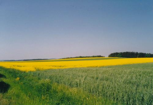 1993 Waldviertel 1