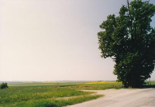 1993 Waldviertel 2