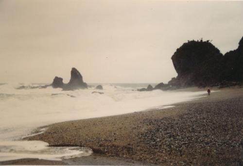 1994 Neuseeland Monro-Beach