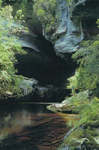1994 Neuseeland Westkueste-Karamea