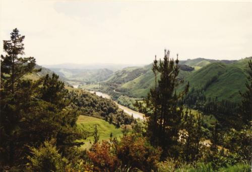 1994 Neuseeland Whakarewarewa Wanganui-River