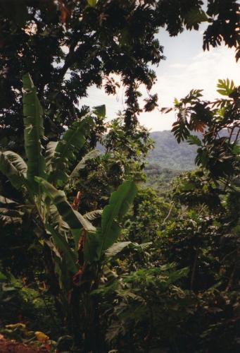 1998 Karibik Grenada