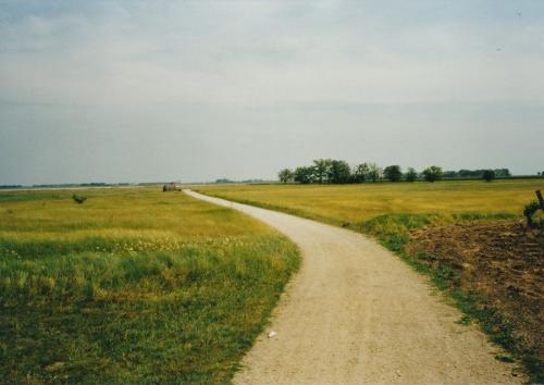 2002 Seewinkel-Lange-Lacke-Illmitz 2