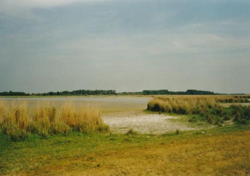 2002 Seewinkel-Lange-Lacke-Illmitz 3