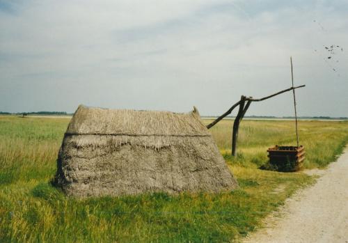 2002 Seewinkel-Lange-Lacke-Illmitz 4