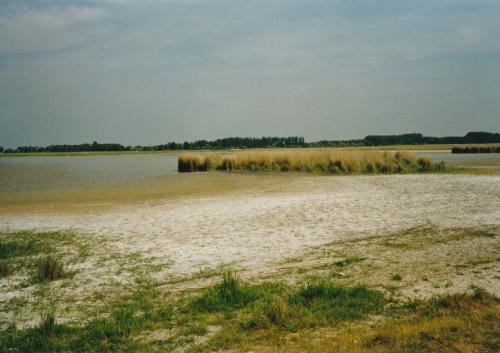 2002 Seewinkel-Lange-Lacke1