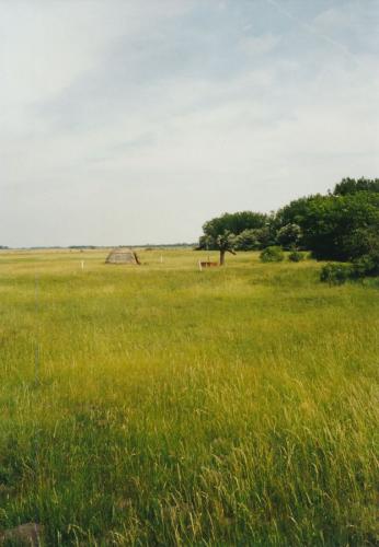 2002 Seewinkel-Lange-Lacke 1