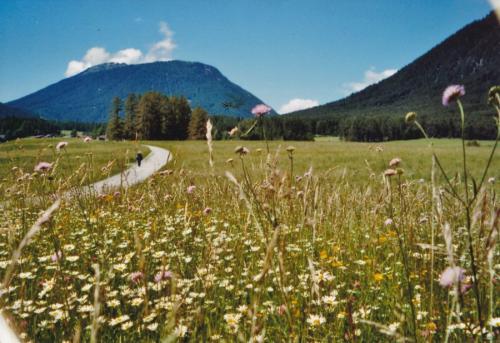 2009 -Mieminger-Plateau-Tirol 1
