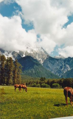 2009 -Mieminger-Plateau-Tirol 2