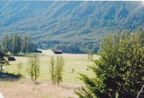 2009 -Mieminger-Plateau-Tirol 3