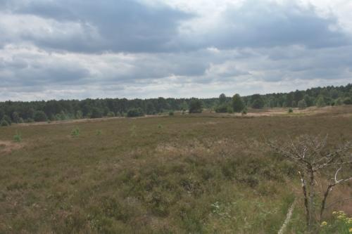 2014 Lueneburger-Heide