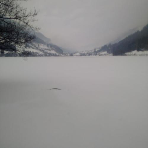 2015 Feld-am-See Kaernten 2