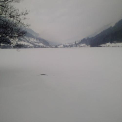 2015 Feld-am-See Kaernten 3