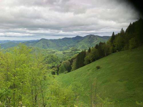 2021 Muckenkogel NOe 1