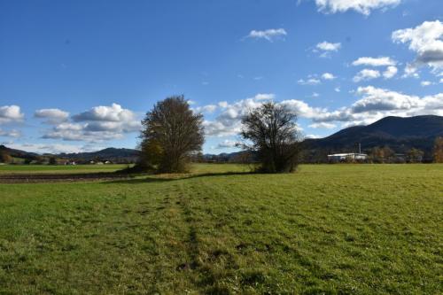 DSC 4704