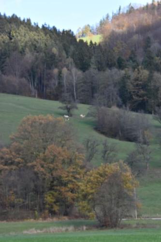 DSC 4712