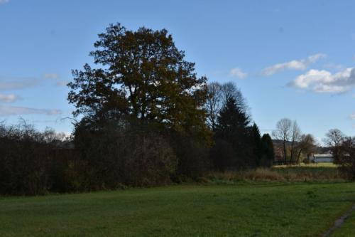 DSC 4737