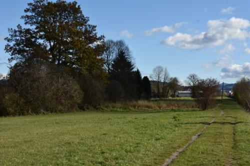 DSC 4738
