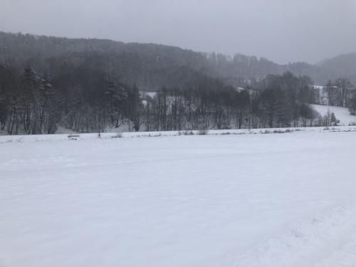 IMG 0797