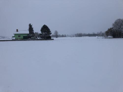 IMG 0800