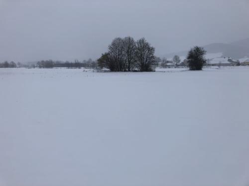 IMG 0801