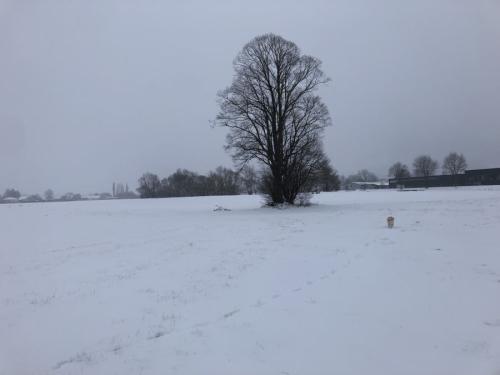 IMG 0805