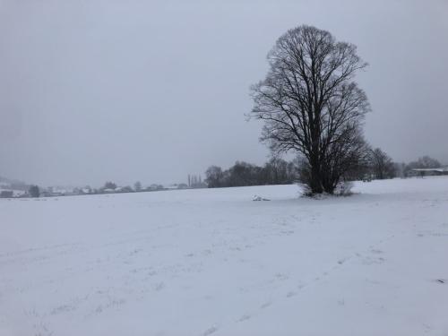 IMG 0806