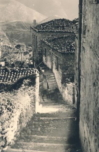 vermutlich-moderne-Stadt-Delphi