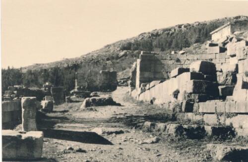 Delphi