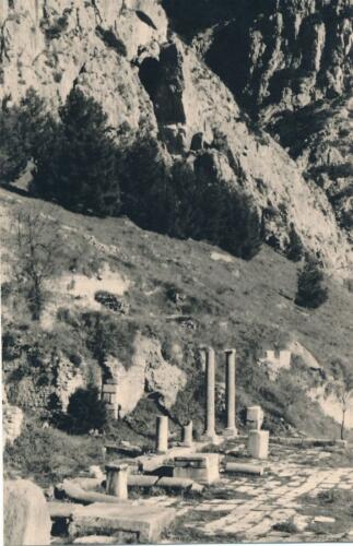 Delphi