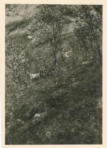 Bergwanderung 7 Schwestern