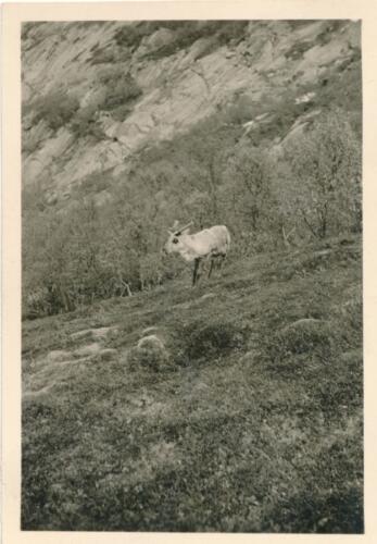 Bergwanderung 7 Schwestern