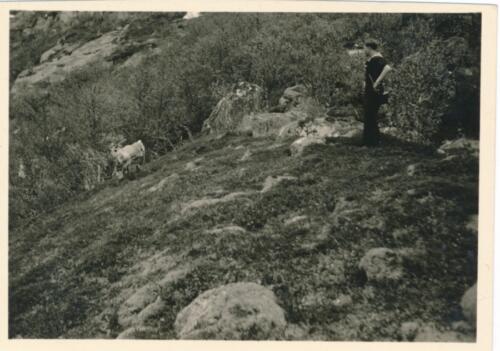 Bergwanderung 7 Schwestern